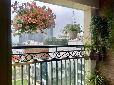 D'. Le Roi Soleil, Vietnam D'. Le Roi Soleil, Vietnam