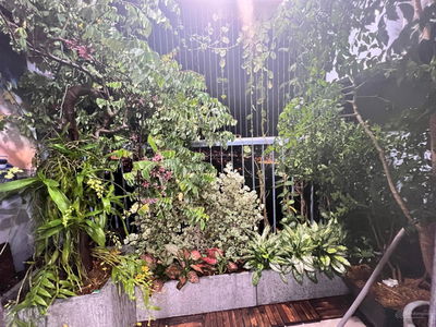 173 Xuan Thuy, Vietnam 173 Xuan Thuy, Vietnam