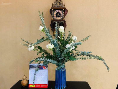 Mulberry Lane Project, Vietnam Mulberry Lane Project, Vietnam