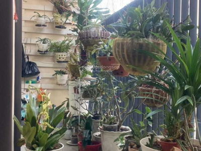 HaDo Centrosa Garden, Vietnam HaDo Centrosa Garden, Vietnam