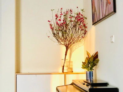 Anland Complex Project, Vietnam Anland Complex Project, Vietnam