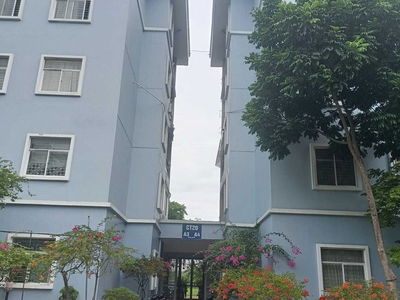 Viet Hung Project, Vietnam Viet Hung Project, Vietnam