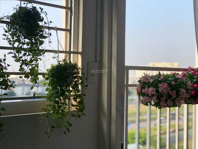 Ehome S, Vietnam Ehome S, Vietnam