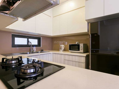 ICON 56, Vietnam ICON 56, Vietnam