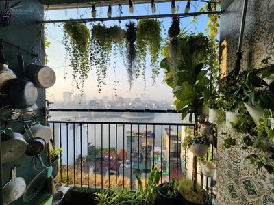 Hoang Cau Resettlement, Vietnam Hoang Cau Resettlement, Vietnam