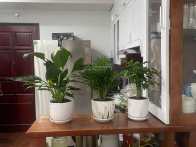 - CT2 To Hieu, Vietnam - CT2 To Hieu, Vietnam