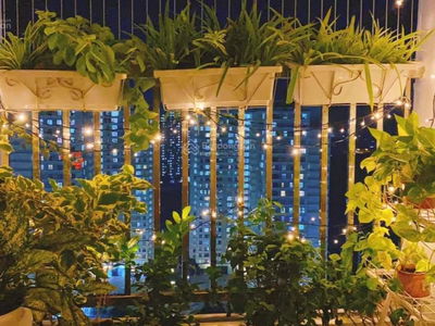 Van Khe Project, Vietnam Van Khe Project, Vietnam