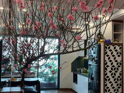 Sky Central, Vietnam Sky Central, Vietnam