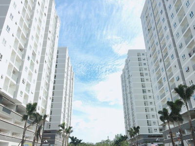 Orchid Park, Vietnam Orchid Park, Vietnam