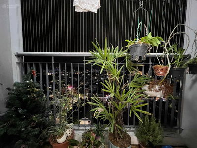 Lideco Quang Ninh Project, Vietnam  Lideco Quang Ninh Project, Vietnam