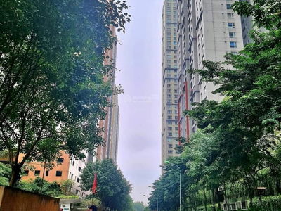 Mulberry Lane Project Mulberry Lane Project