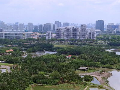 Dragon City, Vietnam  Dragon City, Vietnam