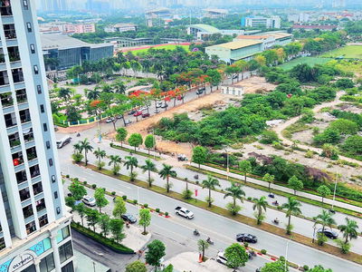 Iris Garden, Vietnam Iris Garden, Vietnam