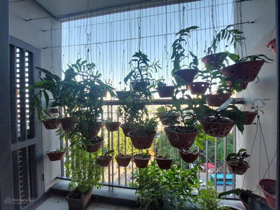 GoldSilk Complex Project, Vietnam GoldSilk Complex Project, Vietnam