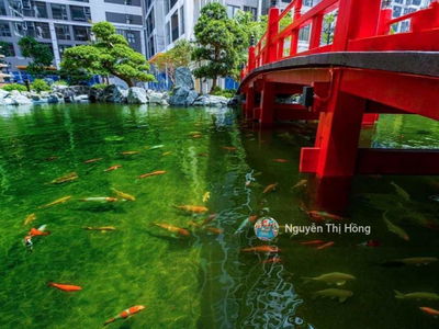 The Zenpark project, Vietnam The Zenpark project, Vietnam