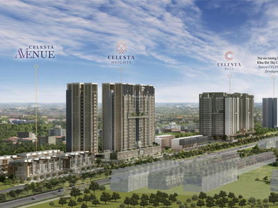 Celesta laughed, Vietnam  Celesta laughed, Vietnam