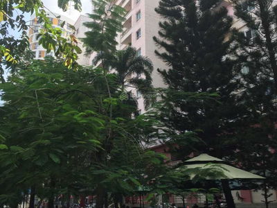 Conic Southeast Asia, Vietnam Conic Southeast Asia, Vietnam