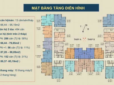 - An Lac Green Symphony, Vietnam - An Lac Green Symphony, Vietnam