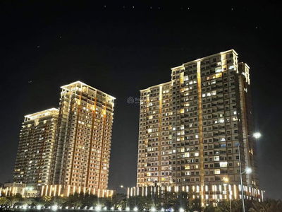 Dragon City, Vietnam Dragon City, Vietnam