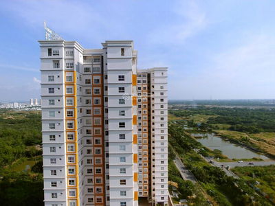 Dragon City, Vietnam Dragon City, Vietnam