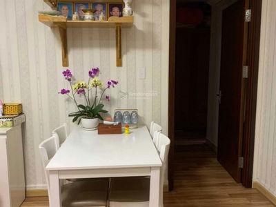 Dic Phoenix Project, Vietnam Dic Phoenix Project, Vietnam