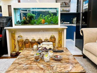 Green Stars Project, Vietnam Green Stars Project, Vietnam