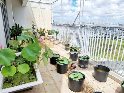 LuxGarden, Vietnam LuxGarden, Vietnam