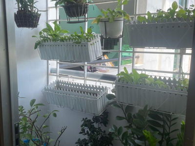 Vo Van Kiet Street, Vietnam Vo Van Kiet Street, Vietnam