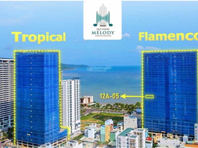 Quy Nhon Melody Project, Vietnam Quy Nhon Melody Project, Vietnam