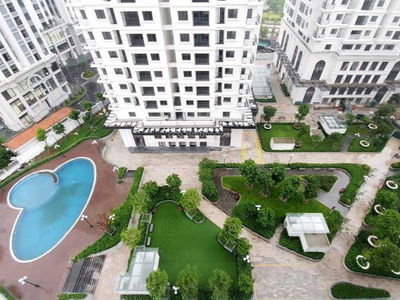 Iris Garden, Vietnam Iris Garden, Vietnam