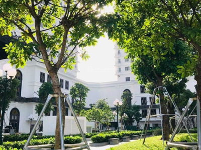 Iris Garden, Vietnam Iris Garden, Vietnam