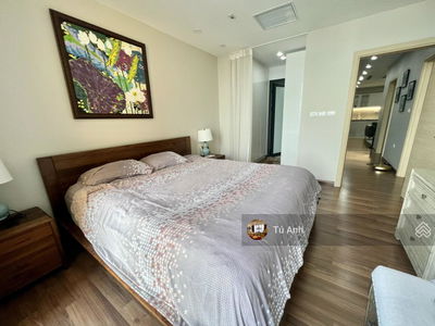 The Golden Armor Project, Vietnam The Golden Armor Project, Vietnam