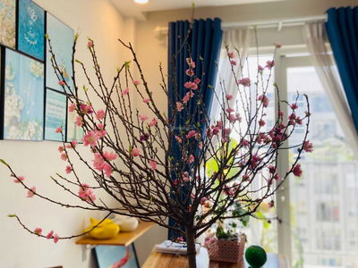 Samsora Riverside Project, Vietnam Samsora Riverside Project, Vietnam