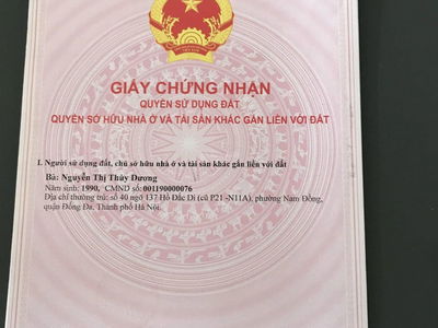 Handi Resco Le Van Luong