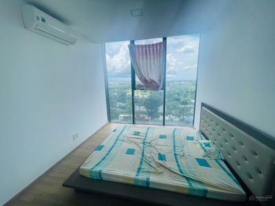 Calla Garden, Vietnam Calla Garden, Vietnam