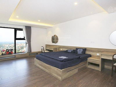 D'. Le Roi Soleil, Vietnam D'. Le Roi Soleil, Vietnam