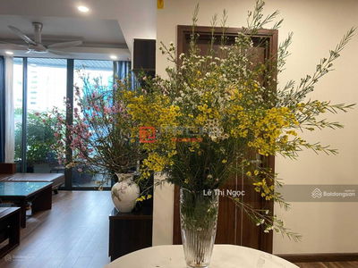 N01-T8 Ngoai Giao Doan, Vietnam N01-T8 Ngoai Giao Doan, Vietnam