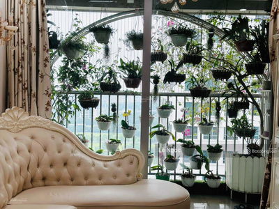 N03-T2 Ngoai Giao Doan, Vietnam N03-T2 Ngoai Giao Doan, Vietnam