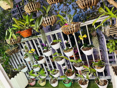 N03-T2 Ngoai Giao Doan, Vietnam N03-T2 Ngoai Giao Doan, Vietnam