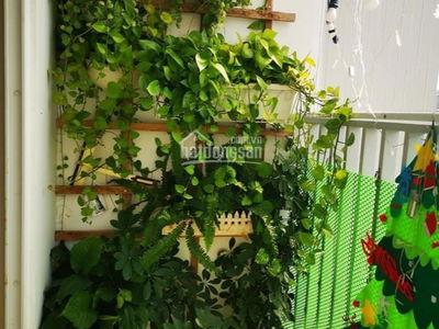 Orchid Park, Vietnam Orchid Park, Vietnam