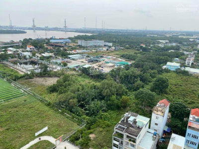 Orchid Park, Vietnam Orchid Park, Vietnam