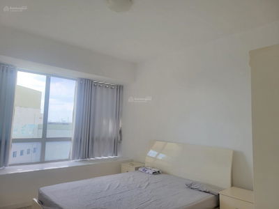 The Canary Project, Vietnam The Canary Project, Vietnam