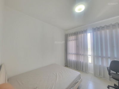 The Canary Project, Vietnam The Canary Project, Vietnam