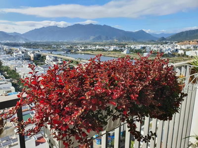 Phuoc Hai Industrial Park Project, Vietnam Phuoc Hai Industrial Park Project, Vietnam