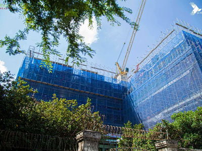 D-Man, Vietnam D-Man, Vietnam