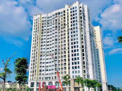 - An Lac Green Symphony, Vietnam - An Lac Green Symphony, Vietnam