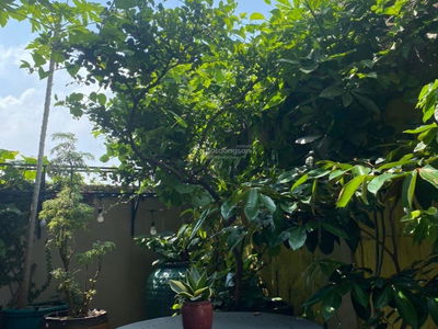 The Art, Vietnam The Art, Vietnam