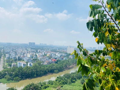 The Art, Vietnam The Art, Vietnam