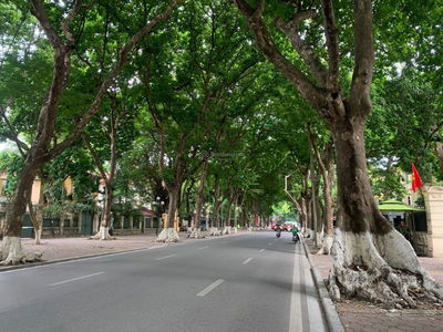 Ly Nam De Street, Vietnam Ly Nam De Street, Vietnam