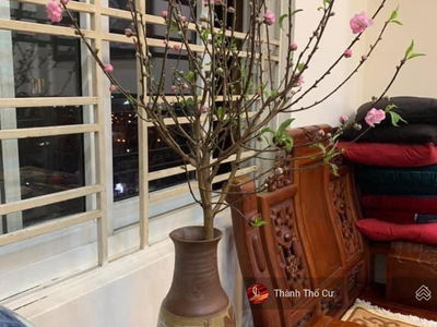 229 Vong Street, Vietnam 229 Vong Street, Vietnam